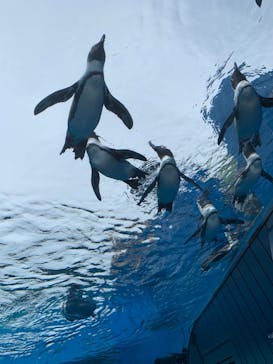 サンシャイン水族館に投稿された画像（2020/10/28）