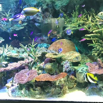 サンシャイン水族館に投稿された画像（2020/10/28）