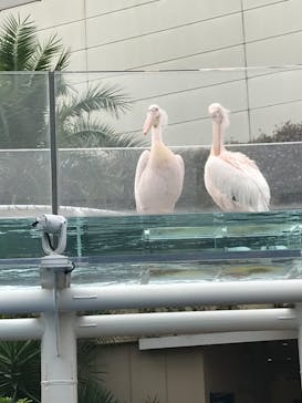 サンシャイン水族館に投稿された画像（2020/10/28）