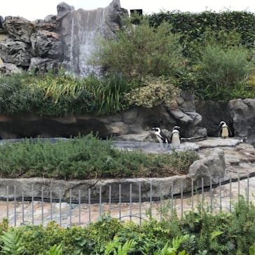 サンシャイン水族館に投稿された画像（2020/10/28）