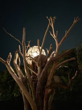 江の島シーキャンドルに投稿された画像（2020/10/28）