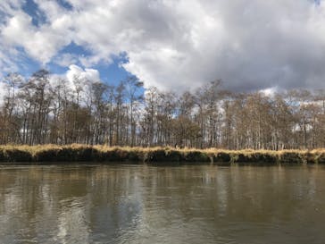 レイクサイドとうろに投稿された画像（2020/10/28）