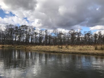 レイクサイドとうろに投稿された画像（2020/10/28）