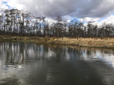 レイクサイドとうろに投稿された画像（2020/10/28）