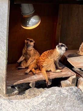 伊豆シャボテン動物公園に投稿された画像（2020/10/28）