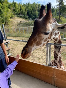 しろとり動物園に投稿された画像（2020/10/28）