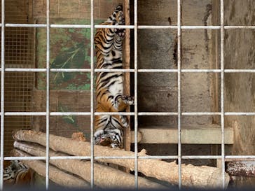 しろとり動物園に投稿された画像（2020/10/28）