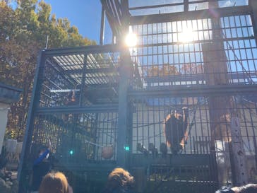 旭川市旭山動物園に投稿された画像（2020/10/28）