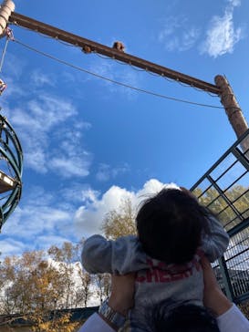 旭川市旭山動物園に投稿された画像（2020/10/28）