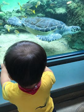 横浜・八景島シーパラダイスに投稿された画像（2020/10/28）