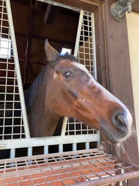 ノーザンホースパークに投稿された画像（2020/10/29）