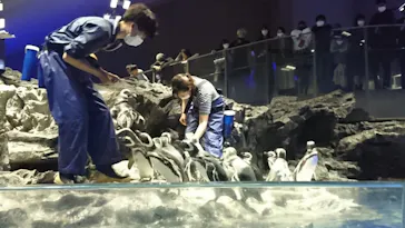 すみだ水族館に投稿された画像（2020/10/29）