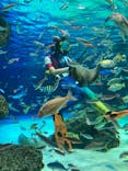 サンシャイン水族館に投稿された画像（2020/10/29）