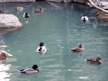 天王寺動物園に投稿された画像（2020/10/29）