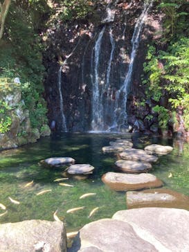 箱根湯本温泉 天成園に投稿された画像（2020/10/29）