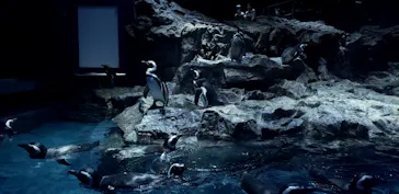 すみだ水族館に投稿された画像（2020/10/29）