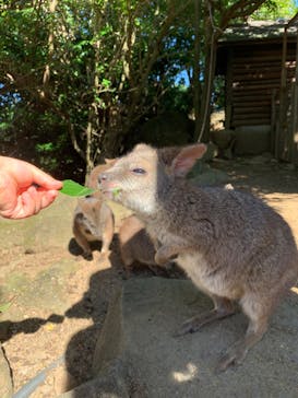 伊豆シャボテン動物公園に投稿された画像（2020/10/29）