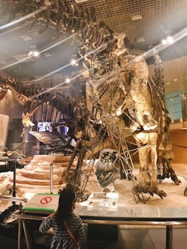 国立科学博物館に投稿された画像（2020/10/29）