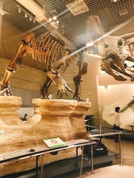 国立科学博物館に投稿された画像（2020/10/29）