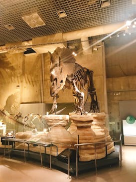 国立科学博物館に投稿された画像（2020/10/29）