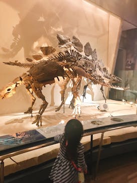 国立科学博物館に投稿された画像（2020/10/29）