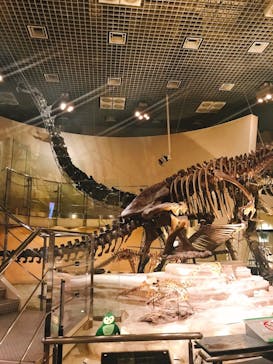 国立科学博物館に投稿された画像（2020/10/29）