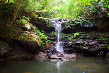 西表島 ADVENTURE PiPi（アドベンチャーピピ）に投稿された画像（2020/10/29）