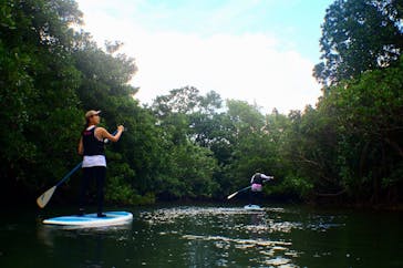 西表島 ADVENTURE PiPi（アドベンチャーピピ）に投稿された画像（2020/10/29）