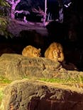 天王寺動物園に投稿された画像（2020/10/30）