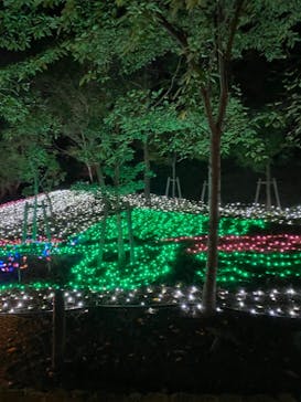 天王寺動物園に投稿された画像（2020/10/29）
