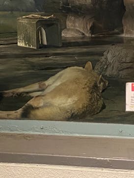 天王寺動物園に投稿された画像（2020/10/29）
