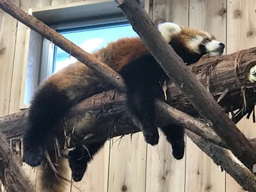 伊豆シャボテン動物公園に投稿された画像（2020/10/29）