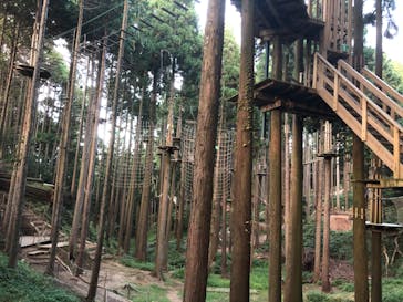 フォレストアドベンチャー・栗東に投稿された画像（2020/10/29）