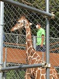 しろとり動物園に投稿された画像（2020/10/30）