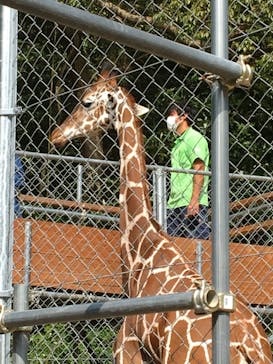 しろとり動物園に投稿された画像（2020/10/30）
