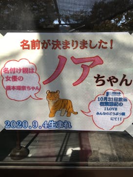 しろとり動物園に投稿された画像（2020/10/30）