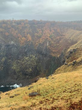 知床ネイチャーガイド星の時間に投稿された画像（2020/10/30）