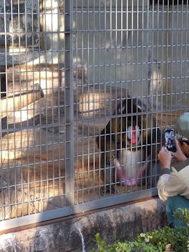 天王寺動物園に投稿された画像（2020/10/30）