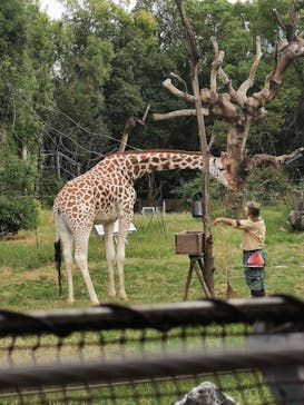 天王寺動物園に投稿された画像（2020/10/30）