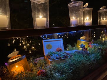 江の島シーキャンドルに投稿された画像（2020/10/30）