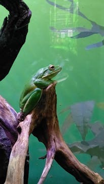 サンシャイン水族館に投稿された画像（2020/10/30）