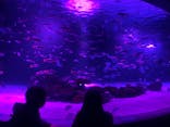 サンシャイン水族館に投稿された画像（2020/10/30）