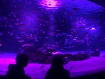 サンシャイン水族館に投稿された画像（2020/10/30）