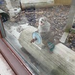 横浜・八景島シーパラダイスに投稿された画像（2020/10/30）