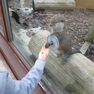 横浜・八景島シーパラダイスに投稿された画像（2020/10/30）