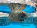 京都水族館に投稿された画像（2020/10/30）