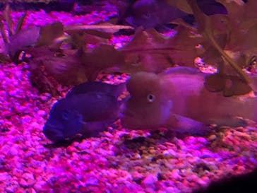 サンシャイン水族館に投稿された画像（2020/10/30）