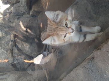 神戸どうぶつ王国に投稿された画像（2020/10/30）