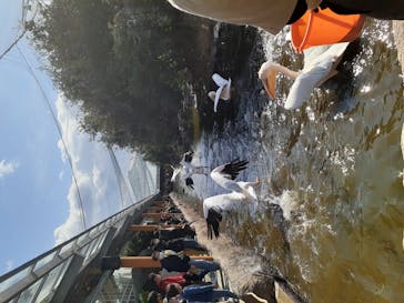 神戸どうぶつ王国に投稿された画像（2020/10/30）