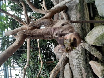 神戸どうぶつ王国に投稿された画像（2020/10/30）